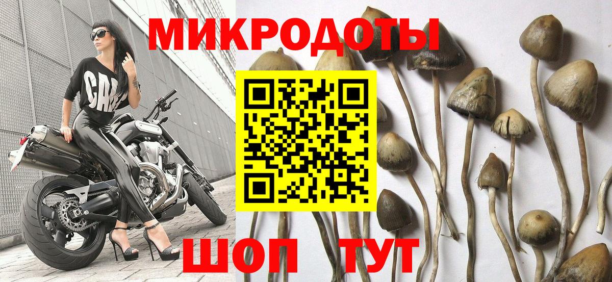 Галлюциногенные грибы Cubensis  Вход с VPN  Красноармейск 